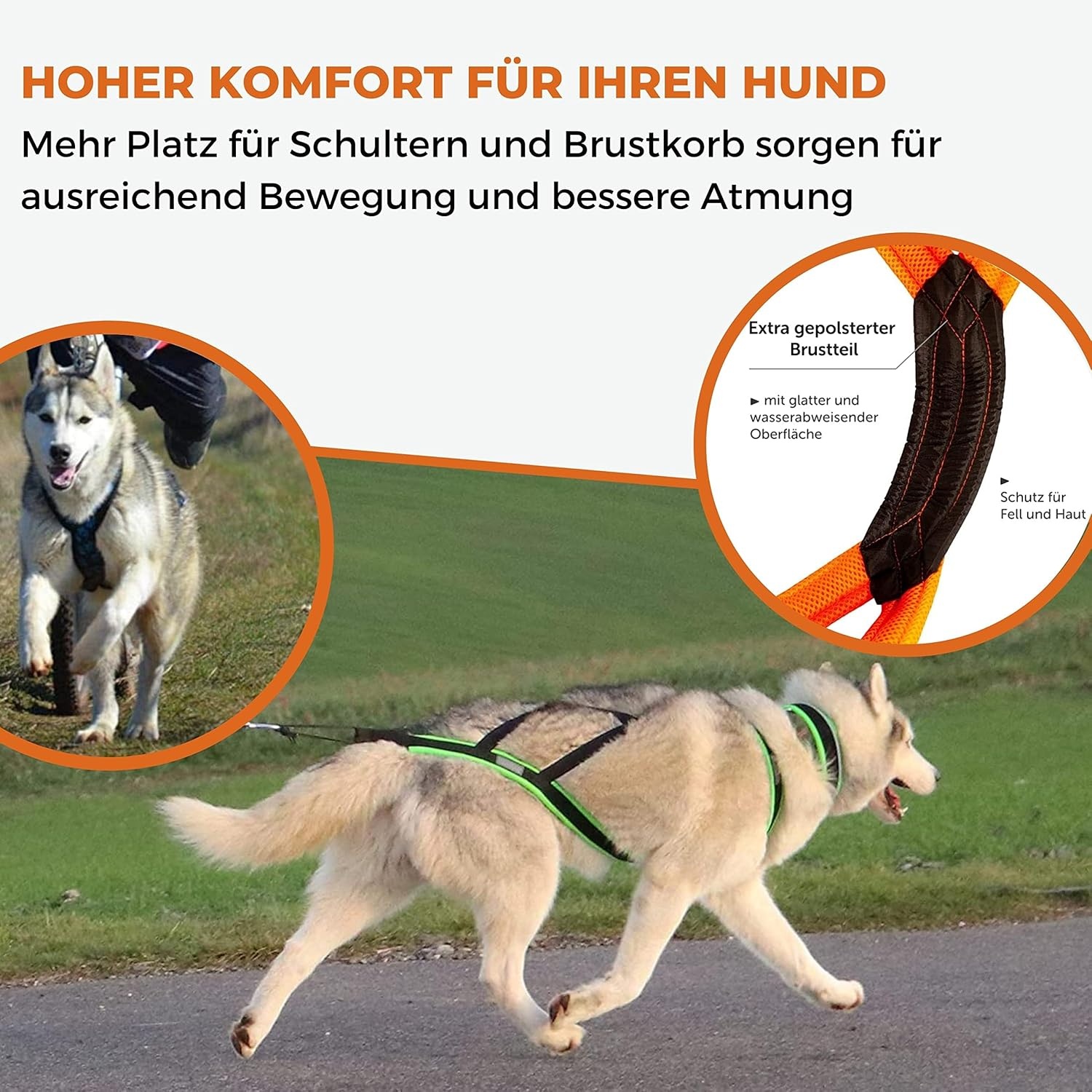 Hondentuig X-Back voor Canicross & Mushing - Zwart Neonorange