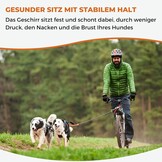 Hondentuig X-Back voor Canicross & Mushing - Zwart Neonorange