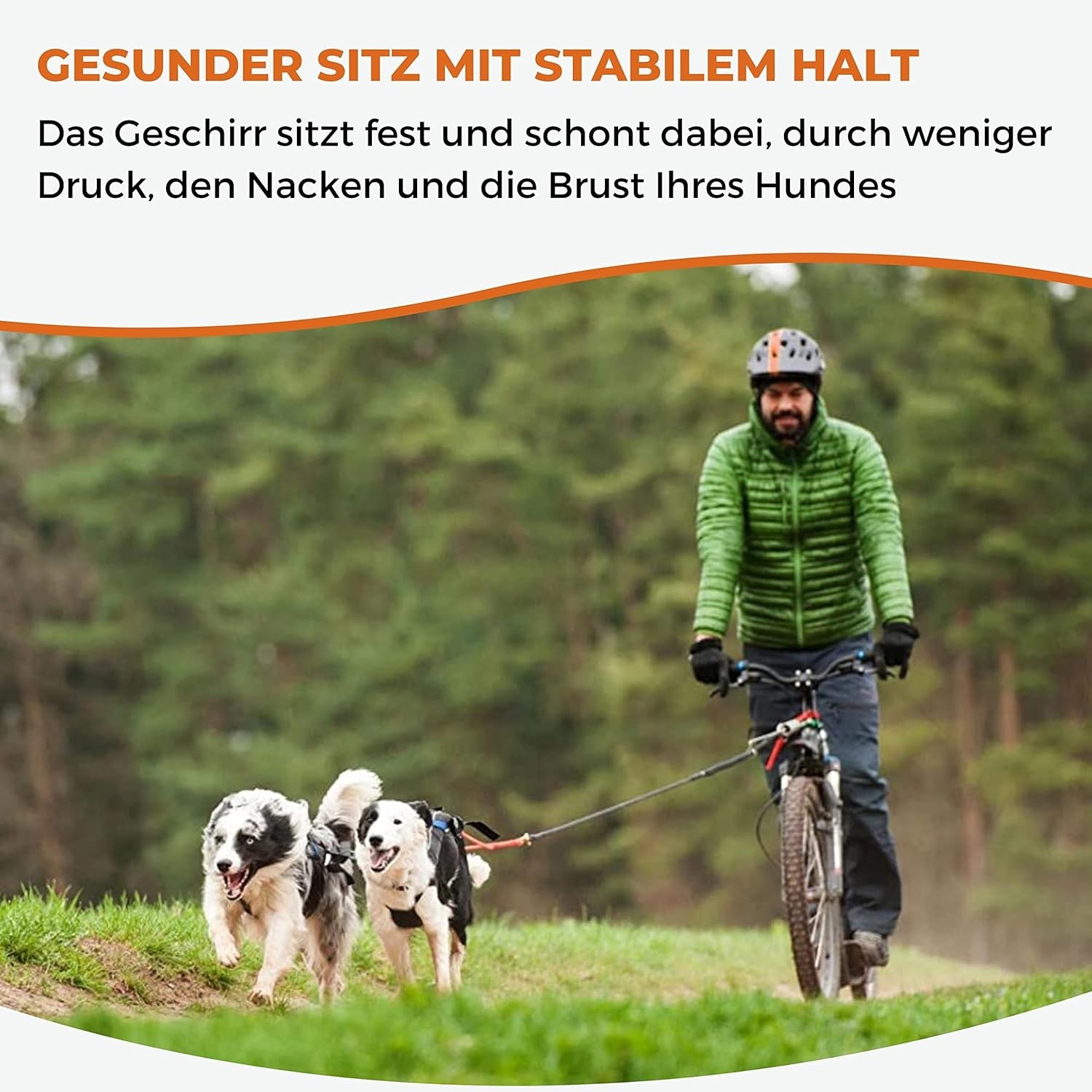 Hondentuig X-Back voor Canicross & Mushing - Zwart Neonorange