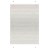 vidaXL Plissé Rolgordijn Lichtgrijs - 95x150 cm - 56% Korting