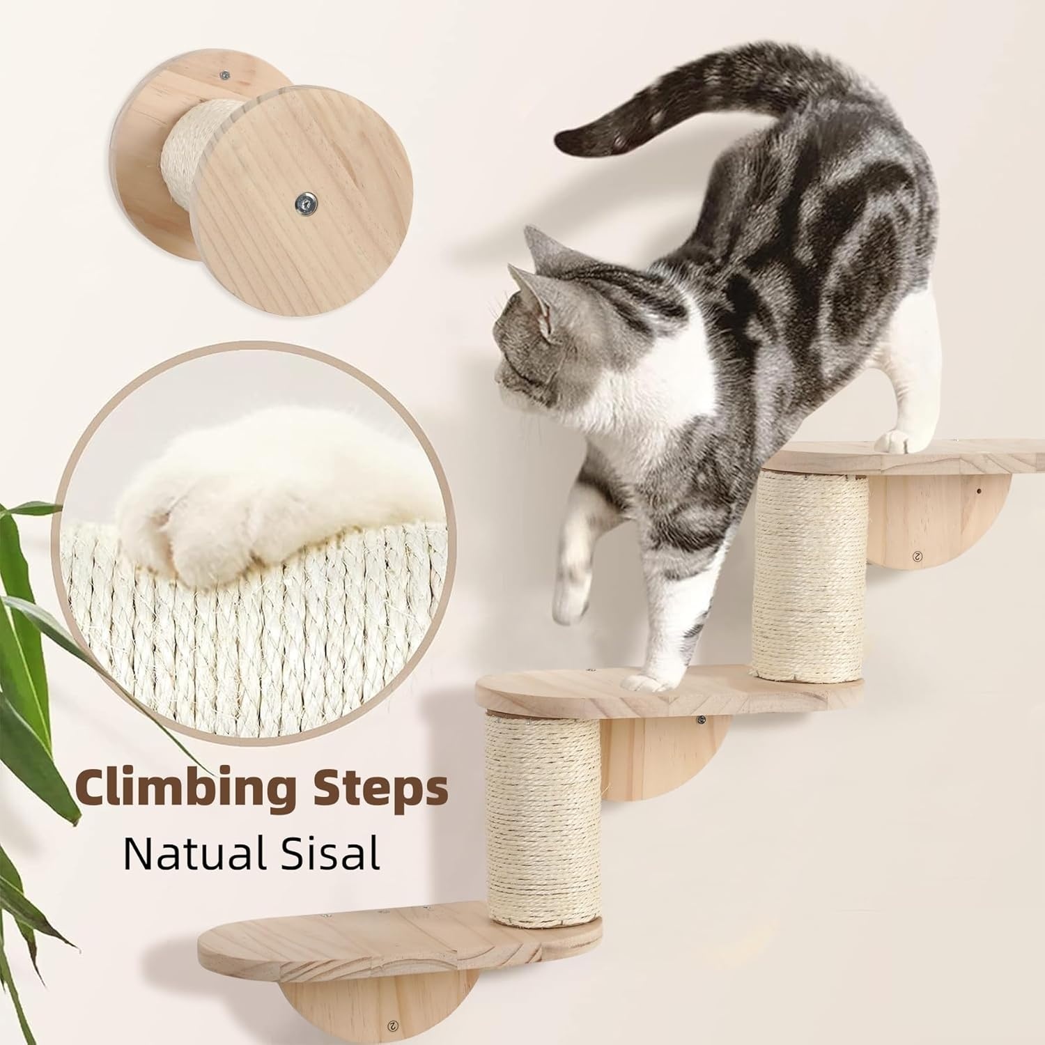 XXL kattenklimwand, wandbox van hout, 4-delig, met kattenhol, hangbrug, trap en sisalkolom, perfect wandmeubel voor katten