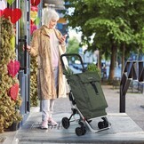 Foppapedretti Go Up Winkelwagen Olijf