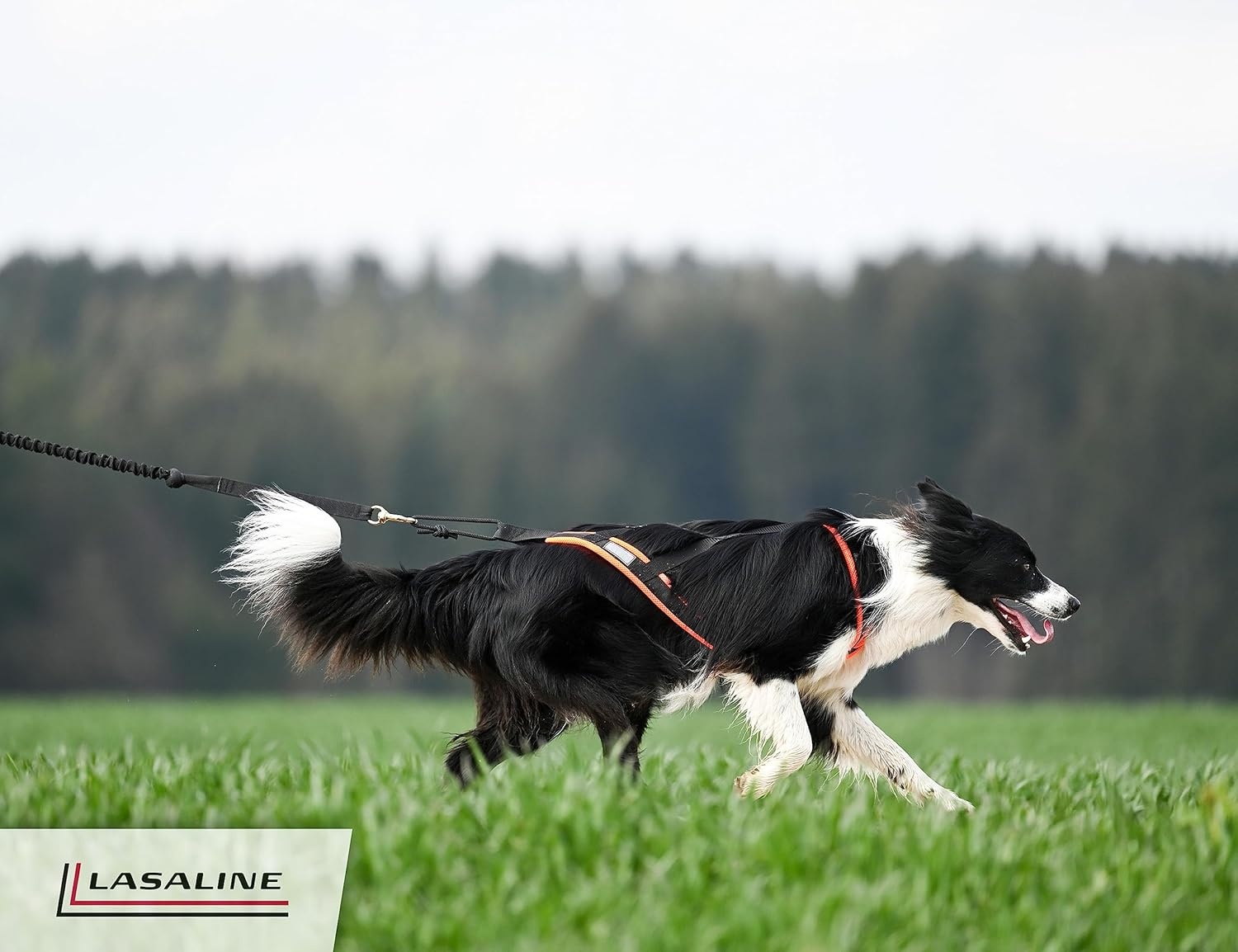 Honden tuigje X-back Zwart Neon Oranje - Ideaal voor hondensporten!