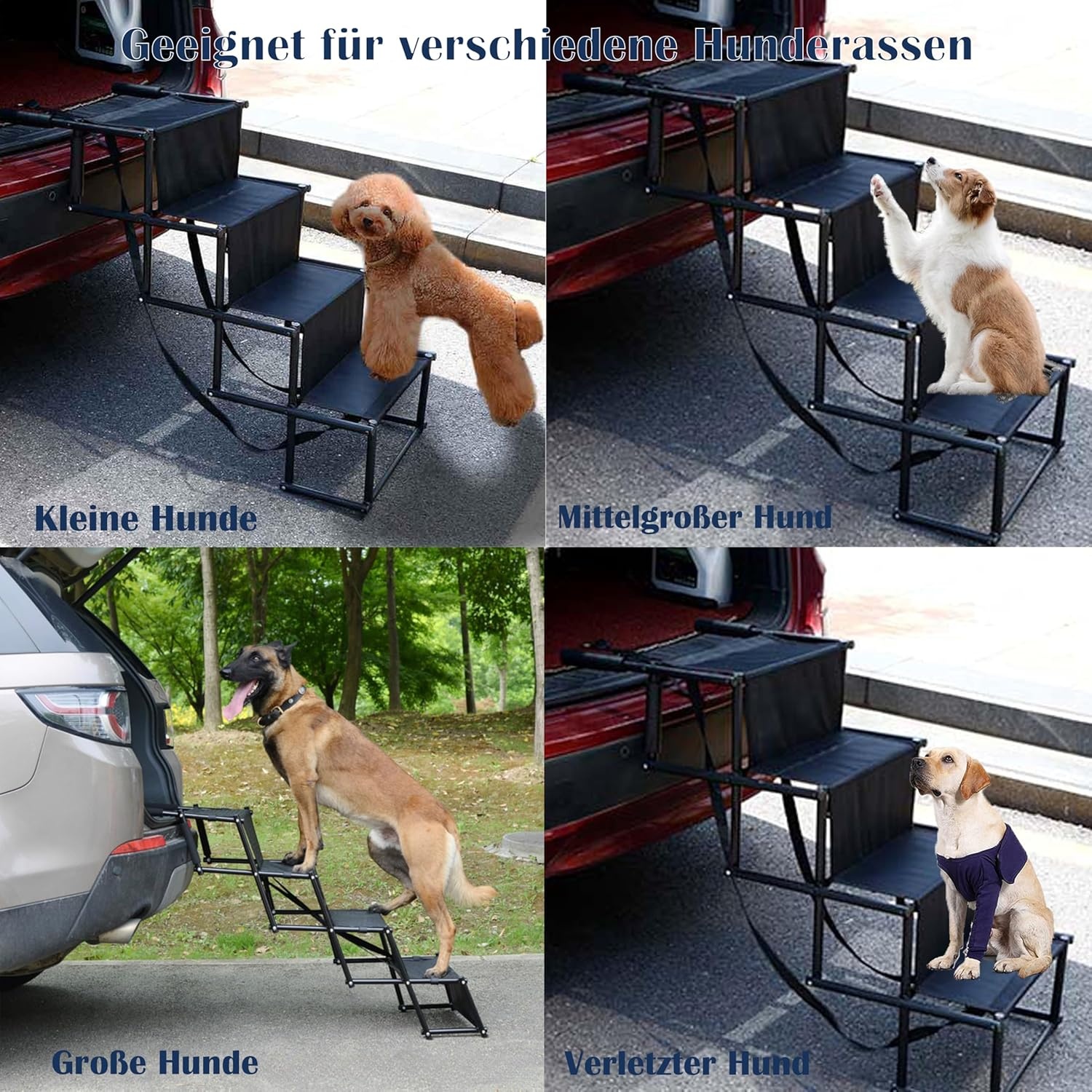 Hondentrap 4 treden opvouwbaar antislip, gewrichtsvriendelijk, tot 60 kg. Geschikt voor auto, meubels, grote & kleine honden