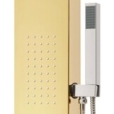 vidaXL Douchepaneel RVS Goudkleurig - 61% Korting!