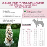 Honden X-Back Trektuig Zwart - Ideaal voor Canicross & Wintersport met 57% Korting