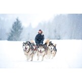 Honden Trektuig X-Back Zwart - 29% Korting!