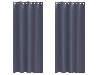 vidaXL Gordijnen met gordijnen 2 pcs Antraciet Polyester
