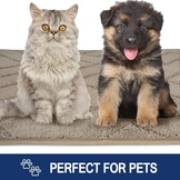 Deurmat Binnen 50 x 80 cm, Antislip en Wasbare Vloermat voor Huisdieren, Ingang en Hal