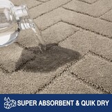 Deurmat Binnen 50 x 80 cm, Antislip en Wasbare Vloermat voor Huisdieren, Ingang en Hal