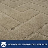 Deurmat Binnen 50 x 80 cm, Antislip en Wasbare Vloermat voor Huisdieren, Ingang en Hal