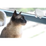 Mini Elektrische Massager - 35% Korting - Draagbaar & Stil