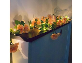 Roze LED Rozentak Verlichting 1.8M - 50% Korting!