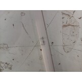 Verduisterend Rolgordijn Grijs 135x175cm - 67% Korting!