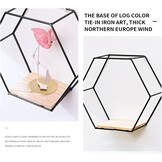 Set 3 Zwarte Zeshoekige Wandrekken - Metaal & Hout - 56% Korting