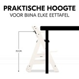 hauck Beta+, White - Meegroeiende Houten Kinderstoel Set Met Wielen En Zitkussen Vanaf 6 Maanden Tot 90 kg Inclusief Groot Eetblad Veiligheidsbeugel 5 Punt Gordel En Kruisriem