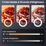 LED Ringlamp 10,5 inch dimbaar met stabiel metalen statief & Bluetooth afstandsbediening voor smartphone, vlog, fotografie, live-stream, make-up