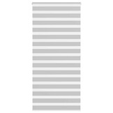 VidaXL Zebra Rolgordijn Grijs - 100x200 cm | 32% Korting