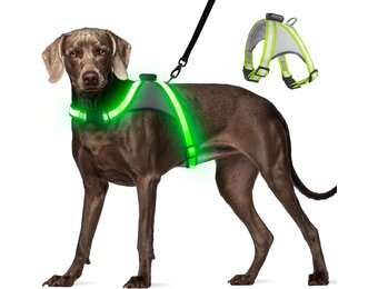 Visinite Hondenharnas met led-verlichting, USB-oplaadbaar, oplichtend hondentuigje, 2 verlichte modi, glow in the dark hondenharnas, verstelbaar verlicht hondenharnas licht voor nachtwandelveiligheid