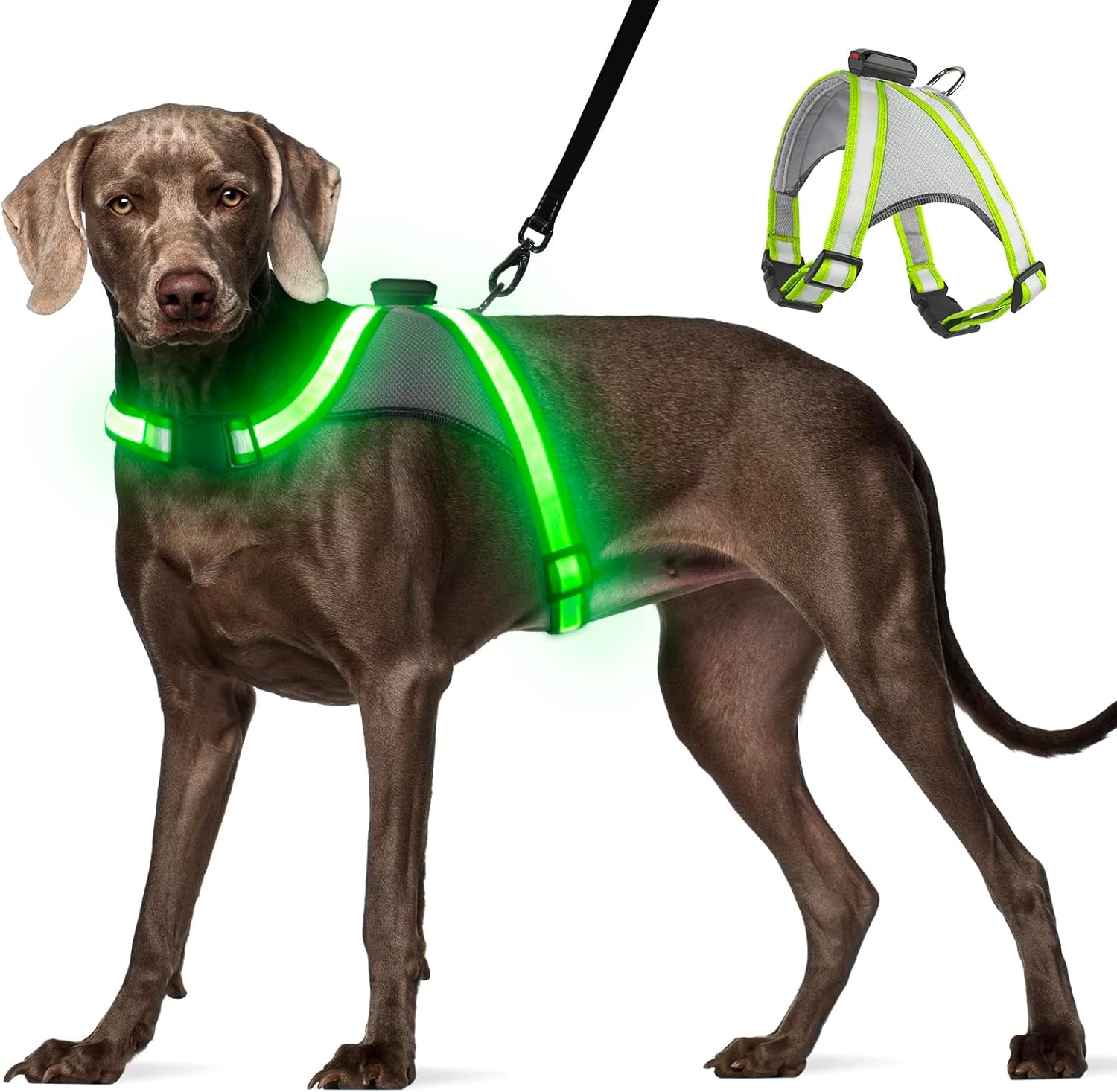 Visinite Hondenharnas met led-verlichting, USB-oplaadbaar, oplichtend hondentuigje, 2 verlichte modi, glow in the dark hondenharnas, verstelbaar verlicht hondenharnas licht voor nachtwandelveiligheid