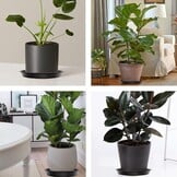 5x Plantenschotels 24 cm | 57% Korting