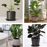 Plantenschotels 5-pack 24 cm | 44% Korting | Lekbakken voor Binnenplanten