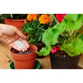 Geretourneerd Perliet voor Planten - 10L - 32% Korting