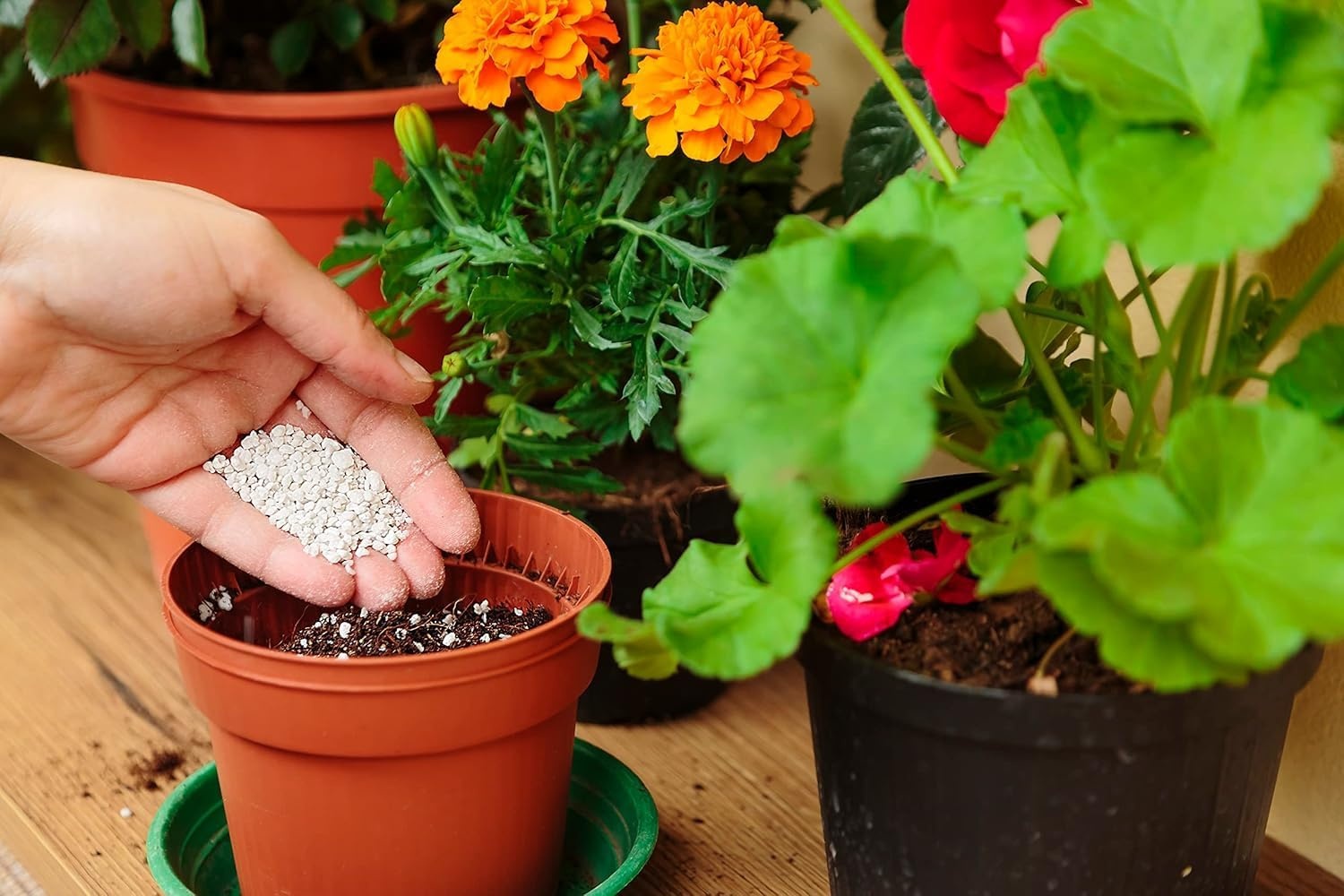 Geretourneerd Perliet voor Planten - 10L - 32% Korting