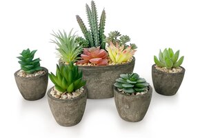 Set van 5 Kunstvetplanten met Potten - 49% Korting