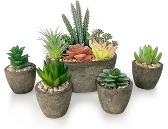 Set van 5 kunstplanten, vetplanten, realistische imitatieplanten, potten voor thuis, kantoor, bureau, decoratie