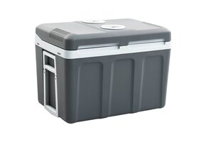 Thermo-elektrische Koelbox E 40L - Koelen & Verwarmen (49% Korting)