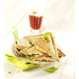 Tosti-apparaat compact 700W met anti-aanbaklaag, schelpvormige platen, veilige vergrendeling, RVS - Alleen voor tosti's