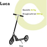 Opvouwbare Step Kinderen/Volwassenen (100kg) | 34% Korting