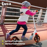 Opvouwbare Step Kinderen/Volwassenen (100kg) | 34% Korting