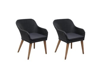 vidaXL Tuinstoelen 2 st. Poly Rattan Zwart (35% Korting)