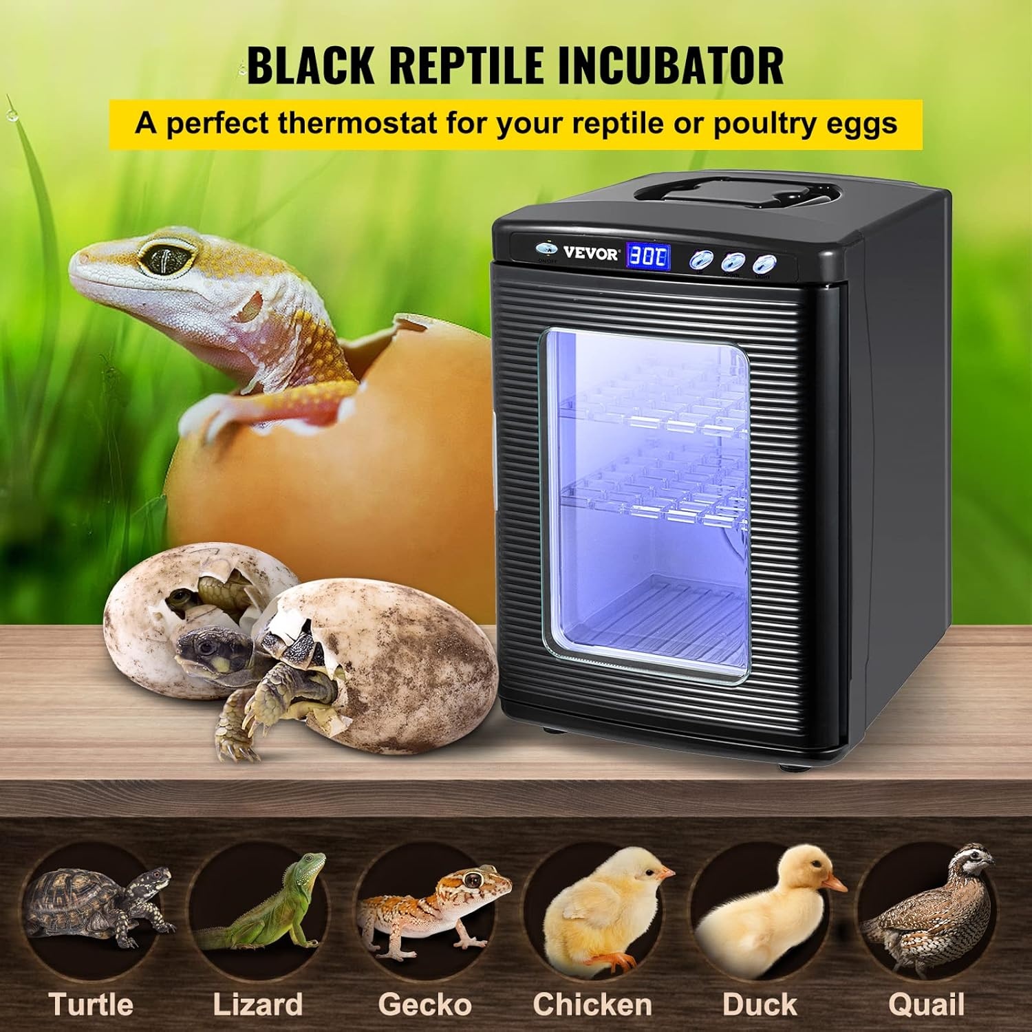 Happybuy Scientific Lab Incubator, 25 liter, koelen en verwarmen, 5-60 °C, 12 V/110 V, werkt voor kleine reptielen, zwart