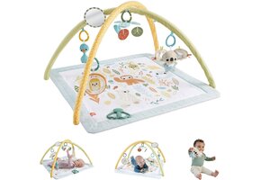 Fisher-Price Baby Activiteitenmat met 6 Speeltjes - 28% Korting!