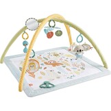 Fisher-Price Baby Activiteitenmat met 6 Speeltjes - 28% Korting!