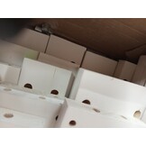 vidaXL Grenenhouten Loungeset Wit - 54% Korting!