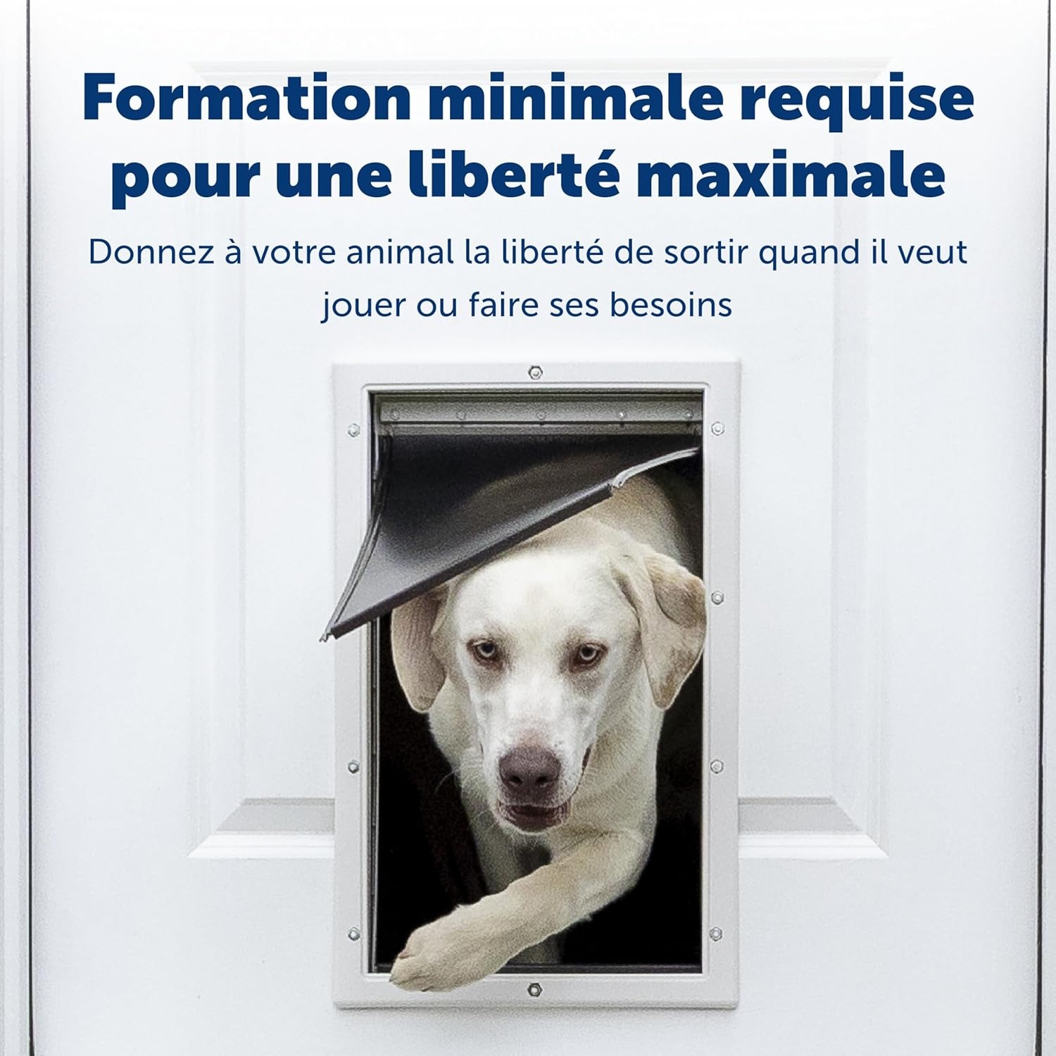 PetSafe Staywell Aluminium Hondenluik Maat L met Magneetsluiting
