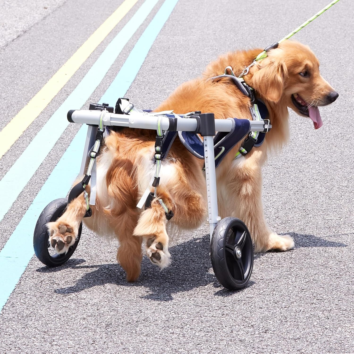 VEVOR Hondenrolstoel met 2 wielen voor achterpoten, huisdierrolstoel lichtgewicht en verstelbaar assisterend bij genezing, hondenwagen/rolstoel voor gewond, gehandicapten, verlamming, zwak huisdier