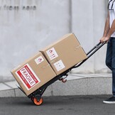 VEVOR 2-in-1 opvouwbare zakkenvrachtwagen 136kg laadvermogen transportvrachtwagen aluminiumlegering & koolstofstaal zakkenvrachtwagen platformvrachtwagen voor binnen buitenlaad transporttaken