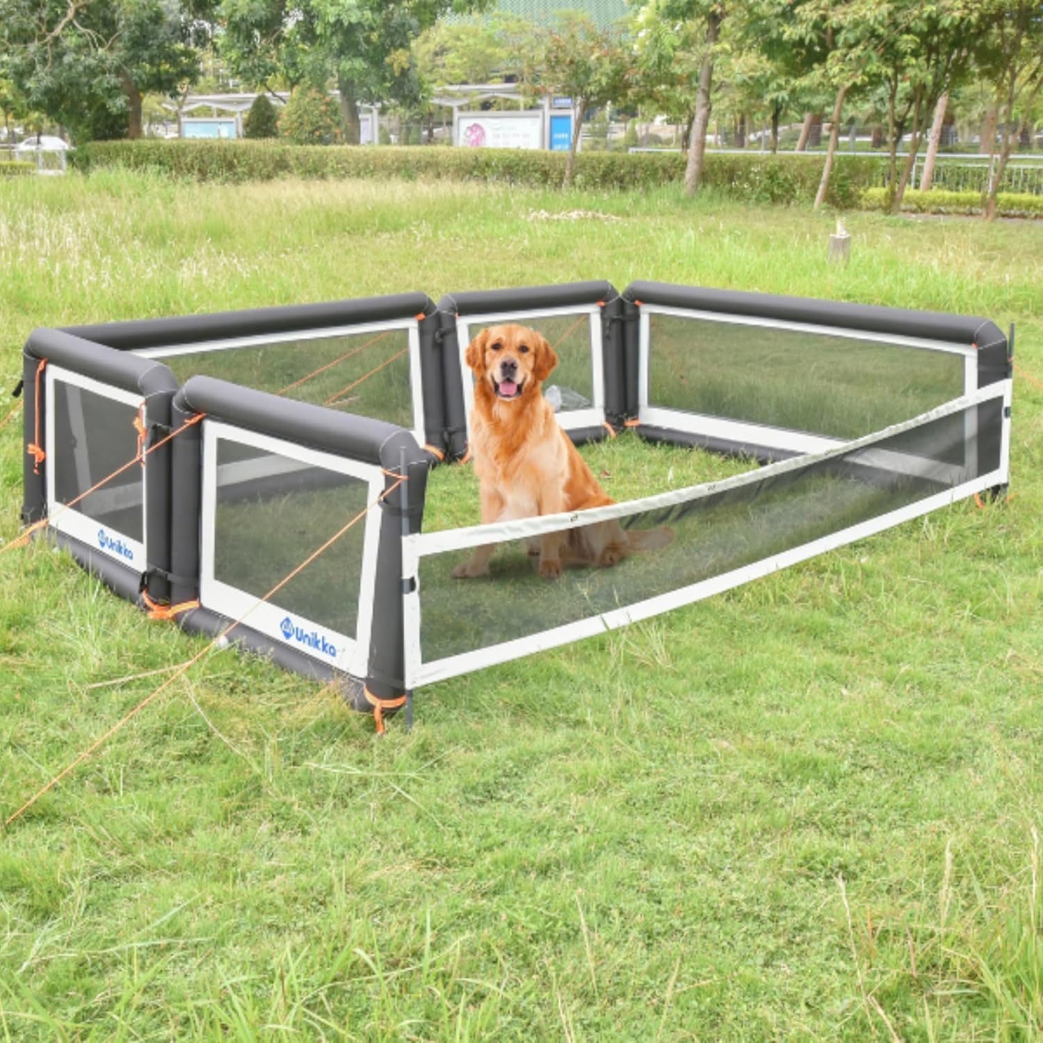 Opblaasbare Hondenren 100 cm Grijs - 29% Korting