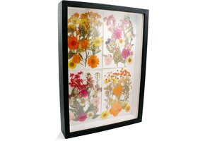 3D Fotolijst A4 Zwart - 52% Korting!