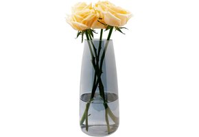 Rookgrijze Glazen Vaas 22cm | Modern & Veelzijdig | 26% Korting