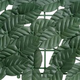 vidaXL Balkonscherm Donkergroen - 400x150 cm - 34% Korting!