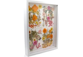 3D Fotolijst A4 Wit - Diepte 3cm | 26% Korting