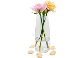 Glazen Vaas 22 cm - Modern Transparant (26% Korting)