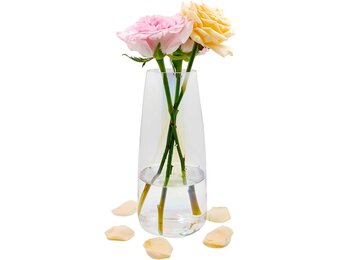 Glazen Vaas 22 cm - Modern Transparant (26% Korting)