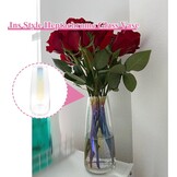 Glazen Vaas 22 cm - Modern Transparant (26% Korting)